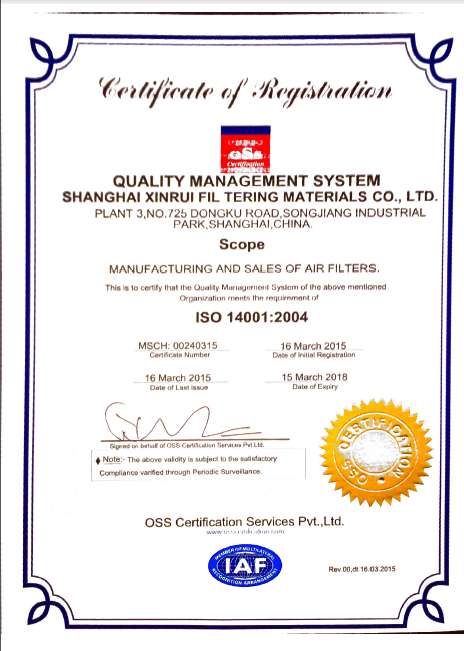 English ISO 14001:2004